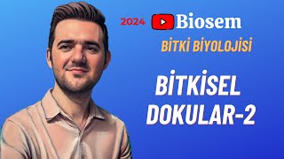 Bitki Biyolojisi  Bitkisel Dokular2 Konu Anlatımı 12 Sınıf Biyoloji [upl. by Adnik]