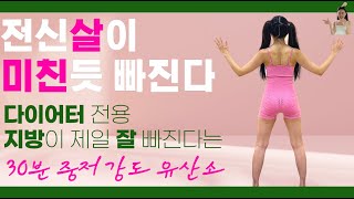 살이 미친듯이 빠지는 다이어트 전용 30분 유산소 [upl. by Boak159]