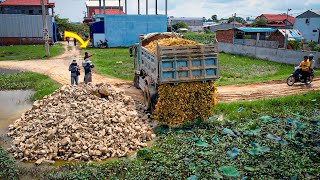 Start a New Project Landfill on Flooded Area by Dozer D20P amp 5Ton Truck Pushing Stone Into Water [upl. by Adilen899]