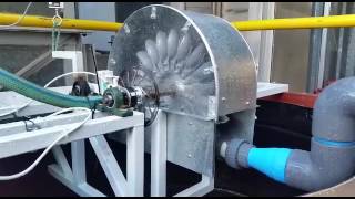 Problem 3 Pelton Wheel Turbine  Determine Mass flow rate of water Velocity of jet  Shubham Kola [upl. by Trefor]