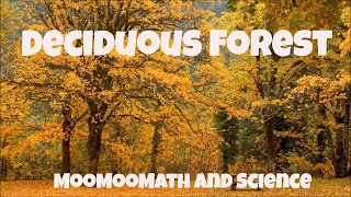 Temperate Deciduous ForestWorld Biomes [upl. by Arorua]