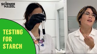 Food Tests How To Test For Starch  Biology Practicals [upl. by Biggs270]