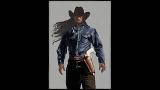 Digital TimeLapse Paintings  rebelle7 cowboy painting [upl. by Brannon]