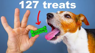 I Crushed Every Dog Treat Into One Treat [upl. by Skantze3]