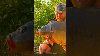 A Linear Fisheries 30lb Mirror Carp carpfishing2024 oxlease fishing [upl. by Tamarra]