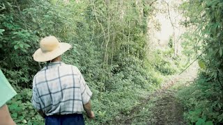 Viver no Brasil falando Hunsrückisch Documentário [upl. by Ammamaria171]