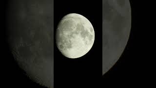 Luna  Moon moon p950 [upl. by Hedaza]