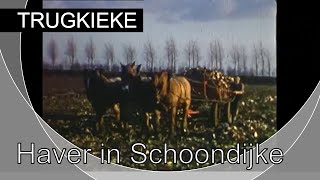 Trugkieke  Haver in Schoondijke 1967 [upl. by Kery]