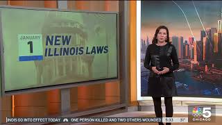 A look at new Illinois laws for 2024 [upl. by Billat211]