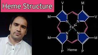 Heme  Structure  Porphyrin  types of porphyrins  bond between oxygen and iron [upl. by Ecnatsnoc424]