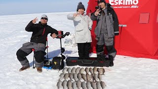 Ice Fishing Tullibee Catch and Cook on Mille Lacs Lake [upl. by Pena36]