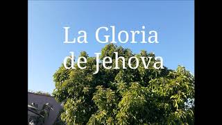 La gloria de Jehova cayo en el Sinai por Noah [upl. by Iruy]