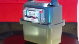 Landis amp Gyr Gas Flow Meter 1010 Domestic [upl. by Alyn765]