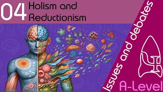 Holism and reductionism  Issues and debates ALevel Psychology [upl. by Gahan]