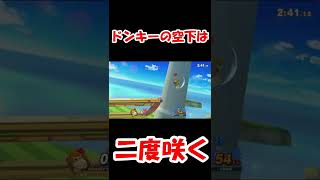 圧倒的なドンキーの崖【スマブラSP】 [upl. by Sapphera366]