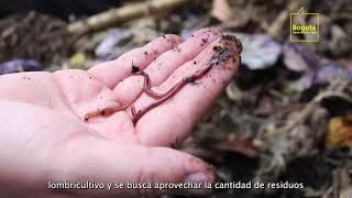 Instalan composteras para producir abono orgánico en los Centros Proteger La María y CURNN [upl. by Romilly]