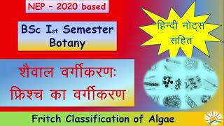 BSc 1st Semester in Hindi Fritsch Classification of Algae  Fritsch का शैवाल वर्गीकरन  Botany [upl. by Niowtna]