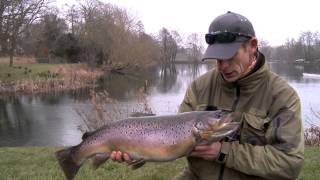 Stalking Big Brown Trout  Fly Fishing Lechlade [upl. by Singleton]