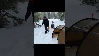 Camping in Snowfall P1 viral camping campinglife glamping tent [upl. by Otsirc675]