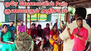 கவலை வேண்டாம் இனி ஒரே வேலையில் Piles யை குணப்படுத்தலாம் Piles Treatment SKM THOTTAM  TAMIL VLOGGER [upl. by Grossman]