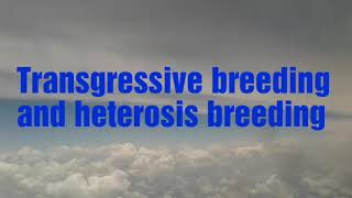 Transgressive breedig and heterosis breeding difference [upl. by Manlove]