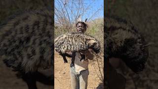 African Civet Hunt For Lunchshortsfeed hadzabetribe [upl. by Dayiz972]