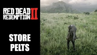 Red Dead Redemption 2 how to store pelts  Where to put animal skins [upl. by Revkah]