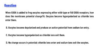 quotWhen GABA is added to frog oocytes expressing either wildtype or Rdl GABA receptors [upl. by Konstantin668]