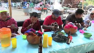 Fiesta Anual en Honor a la Virgen de Guadalupe en Pueblo Hidalgo San Luis Acatlán Guerrero DVD 3 [upl. by Ardnahc]