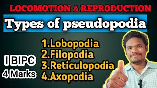 Types of pseudopodia in protozoa for IPE 4 Marks by Sagar zoologySAGAR12695 [upl. by Adamsun]