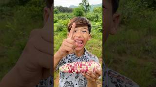 Survival Skills Simple but very Useful Corn 🌽 bushcraft camping food useful survival shorts [upl. by Fong840]