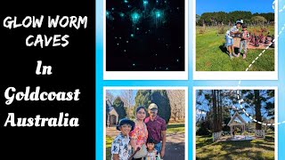 ലോകത്തിലെ അപൂർവയിനം Glow worms🪱part3 Goldcoast trip australia glowworm wineyard travel mallu [upl. by Izak]