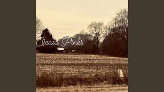 Ocala Pines [upl. by Enelear]