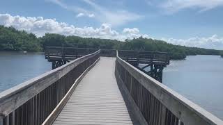 Weedon Island Preserve Boardwalk [upl. by Luemas]