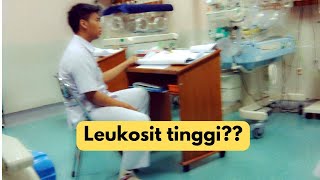 leukosit tinggi jangan bingung [upl. by Ky]