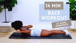 14 MINUTE BACK WORKOUT FOR STRONGER BACK  BETTER POSTURE  NO EQUIPMENT  BEGINNER  INTERMEDIATE [upl. by Pam]