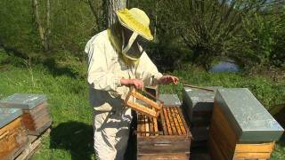 métiers de lagriculture  rencontre avec un apiculteur [upl. by Weed]