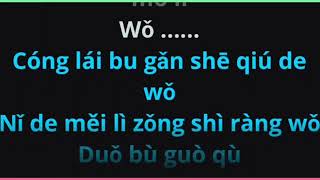 Wo Shi Zhen De Ai Shang Ni 我是真的爱上你by Angela Ching 安祈爾 female karaoke [upl. by Lladnew512]