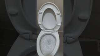 How to stop an auto flush toilet from flushing [upl. by Ahsikan]