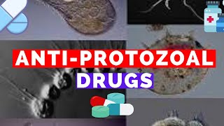 Antiprotozoal Drugs  Metronidazole Bactrim Suramin Pentamidine Eflornithine Fansidar [upl. by Tharp767]