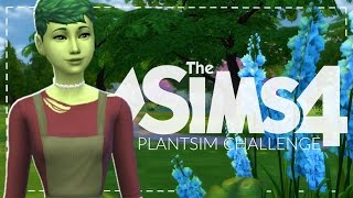 The Sims 4 Plant Sim Challenge 1  CREATING A PLANTSIM [upl. by Ellenor]