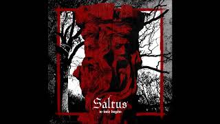 Saltus  W imię Bogów Full Album [upl. by Utter335]