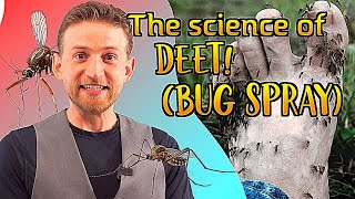 How does DEET work The science behind mosquito repellent [upl. by Naicad216]