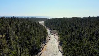 Quebecs Anticosti Island named UNESCO heritage site [upl. by Nessie]