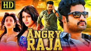 Angry Raja HD Romantic Hindi Dubbed Movie  Jr NTR Samantha Shruti Haasan [upl. by Aiket]