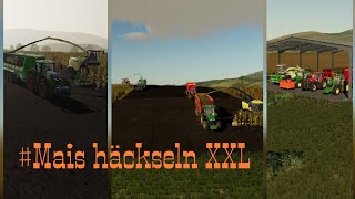 LS19 Mais häckseln XXL auf der Ravenport Landwirtschaftssimulator19LS19 FS19 [upl. by Bamford]