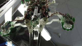 Stanfords Stickybot a Geckolike robot climbs vertical services [upl. by Reni]