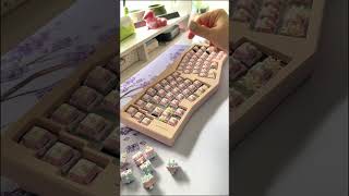 Keygeek keylin switches keyboard keebs keeb mechanicalkeyboard asmr [upl. by Orfield352]