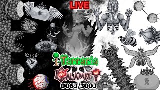 TerrariaCalamity 300J 006JJ 040924 LIVE [upl. by Ramuk]