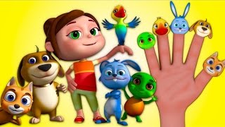 Animal Finger Family  Videogyan 3D Rhymes  Nursery Rhymes amp Kids Songs [upl. by Nibuz]